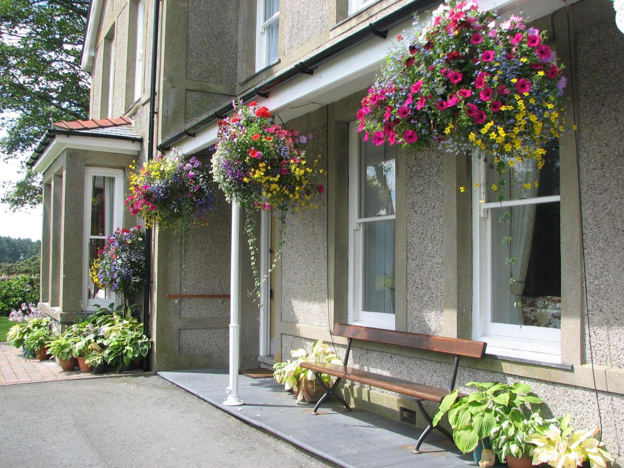 Gwrach Ynys Country Guest House Harlech Dış mekan fotoğraf